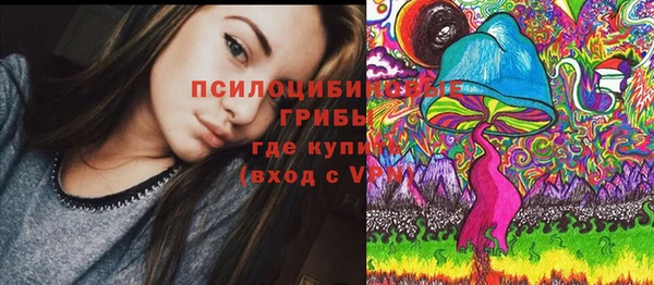 гашик Беломорск