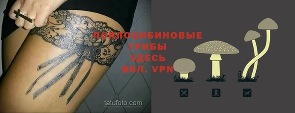 гашик Беломорск
