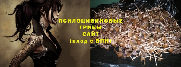 гашик Беломорск