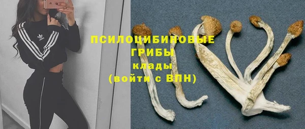 гашик Беломорск