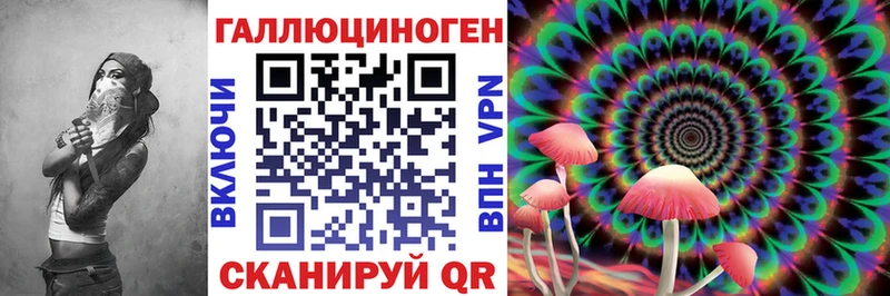 Псилоцибиновые грибы Magic Shrooms  купить   Короча 